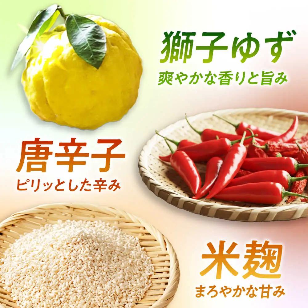 柑なんば 150g×3 福井県小浜名産 獅子ゆず 万能調味料 ご飯のお供 かんなんば / 米麹 唐辛子使用 ピリ辛柚子みそ 小浜市 / タカノ[BFEF009]
