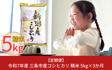 [コシヒカリ 定期便5kg×3か月] 令和7年産 新潟県三条市産 計15kg コシヒカリ [株式会社白熊]