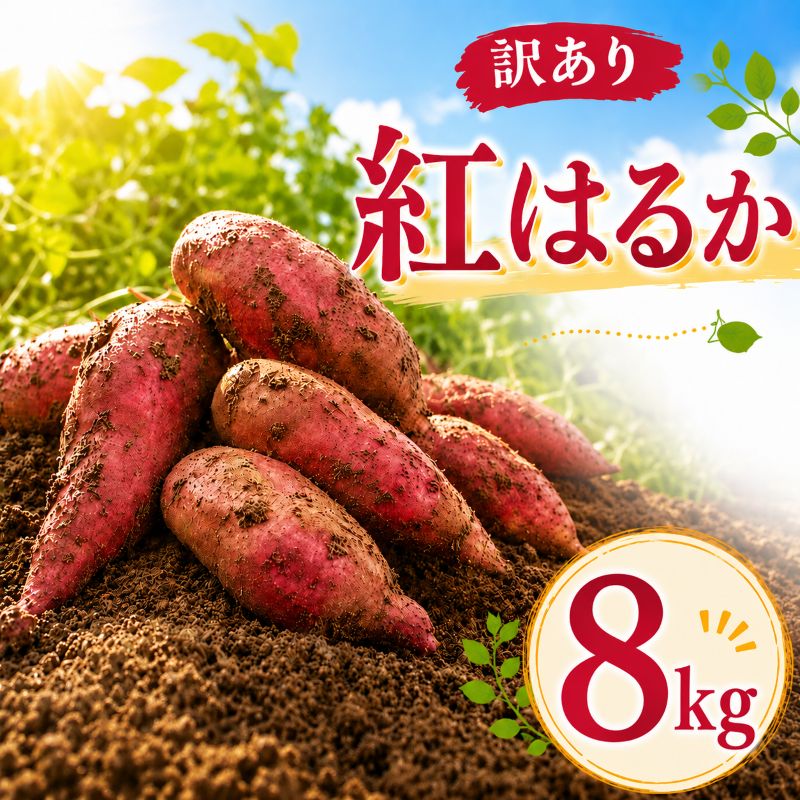【ふるさと納税】 さつまいも 訳あり 紅はるか 約 8kg ＼選べる発送月／ サツマイモ さつま芋 べにはるか イモ いも 芋 生芋 甘藷 焼き芋 やきいも スイートポテト 野菜 規格外 訳アリ 不揃い ご家庭用 おやつ 産地直送 茨城県 鉾田市 大洋まいたけセンター