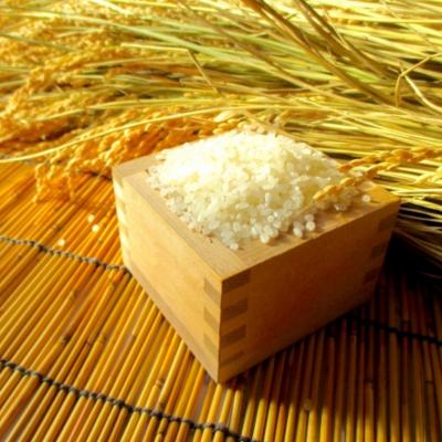 ふるさと納税 小川村 小川村自慢のはぜかけ米5キロ*365 |  | 01