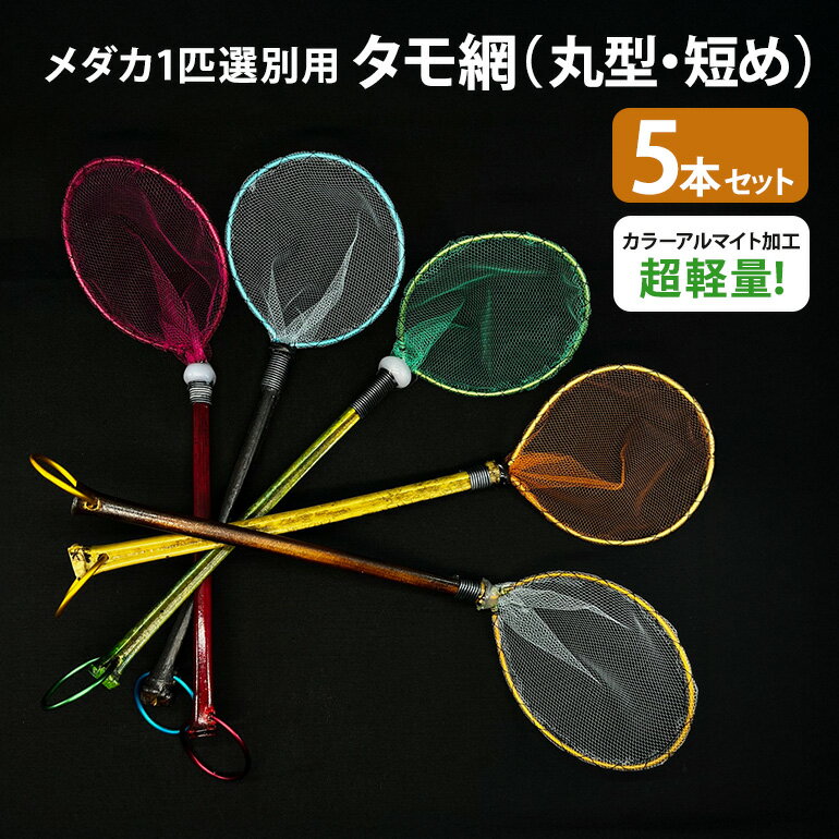 【ふるさと納税】メダカ1匹選別用 タモ網（丸型・短め） 5本セット 83-H