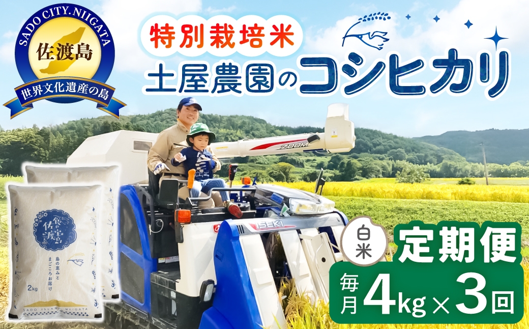
                  【定期便 令和8年産新米 3か月】 佐渡島産コシヒカリ 白米 4Kg(2kg×2袋） 令和8年産新米 特別栽培米 | 新潟県産コシヒカリ 新潟産コシヒカリ 佐渡産コシヒカリ 新潟県産こしひかり 佐渡産こしひかり お米 米 こしひかり 白米 精米 おこめ コメ 4キロ にいがた さど 新潟県 佐渡市
                