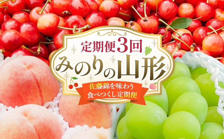 【定期便3回】みのりの山形～佐藤錦を味わう食べつくし定期便～くだもの 果物 フルーツ 山形 山形県 山形市 FY23-908