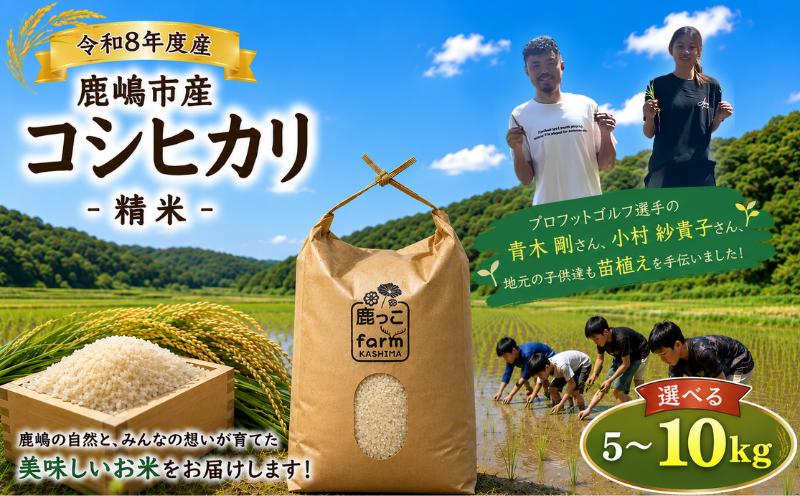 
                  こしひかり 5kg 10kg 選べる 先行予約 新米 単一原料米 令和8年度 米 白米 こめ 精米 国産 産地直送 おすすめ お米 kosihikari 5キロ 10キロ 美味しい ふっくら つややか ご飯 ごはん rice kome okome 甘み 粘り 豊かな香り 地域の想い 自慢 苗植え 田谷沼 鹿っこfarm ふるさと納税 茨城県 鹿嶋市 【2026年10月以降発送】 
                