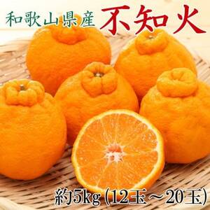 和歌山県産不知火約5kg(12玉～20玉おまかせ)(日高町)【1493811】