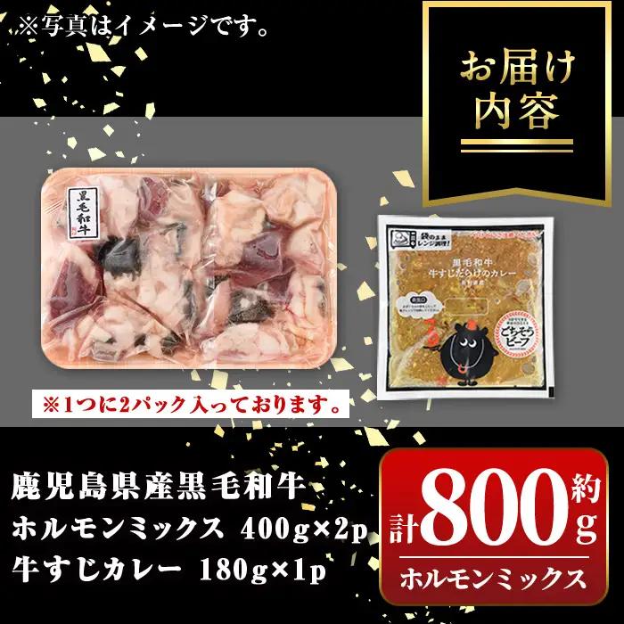 国産 黒毛和牛 ミックスホルモン 牛ホルモン 計800g 牛すじだらけのカレー 1袋 牛肉 レトルト【新村畜産】A91031