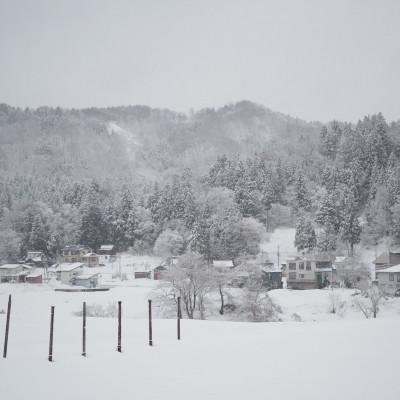 ふるさと納税 上越市 【白米】雪室貯蔵のおいしいお米(コシヒカリ)5kg  [里山ボタニカル] |  | 03