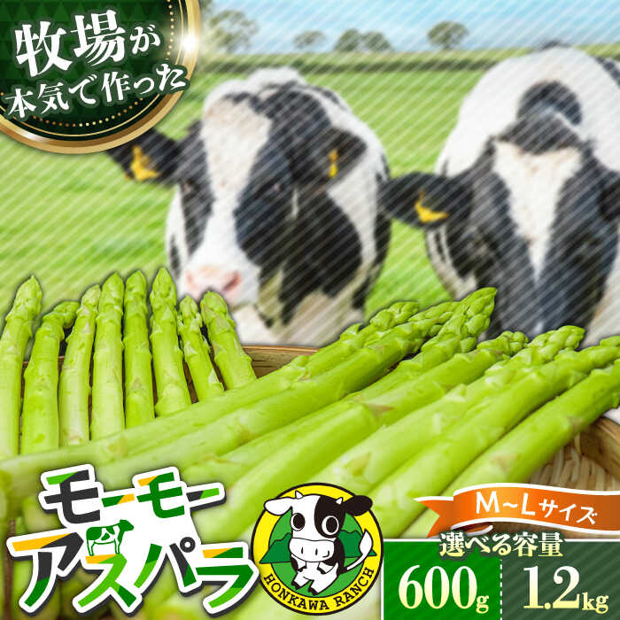 【ふるさと納税】【選べる容量×種類】モーモーアスパラ L～Mサイズ（600g or 1.2kg） 食べやすい太さの2種セット 日田市 / 有限会社本川牧場[ARAI031/ARAI032/ARAI037/ARAI038]