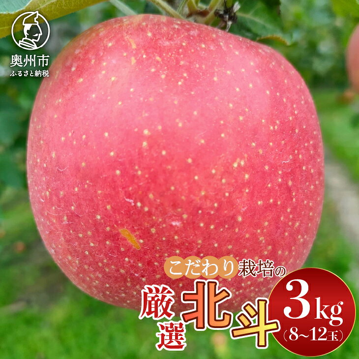 【ふるさと納税】 りんご スターファーム こだわり栽培 北斗 約3kg 岩手県奥州市産 厳選品 産地直送 冷蔵 林檎 フルーツ 果物 期間限定 [AY007]