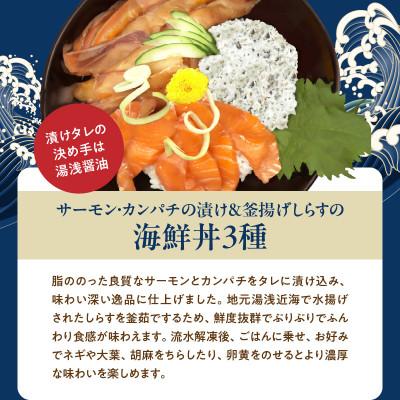 ふるさと納税 湯浅町 【毎月定期便】海鮮彩りセットB(サバフィレ・うなぎ蒲焼・紅鮭切身・海鮮漬)全4回 |  | 03