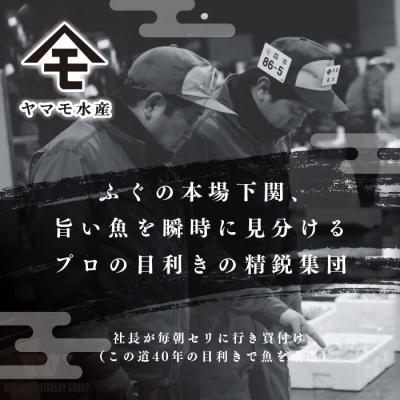 ふるさと納税 下関市 ふぐまるごと満喫セット 4~5人前 冷凍 刺し身 ふぐちり鍋 FR011 |  | 01