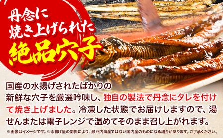 焼き穴子 約500g あなご