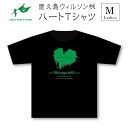 【ふるさと納税】屋久島ウィルソン株ハートTシャツ(黒地／女性Mサイズ)