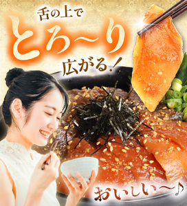 【 定期便3回 】 "とろだく” ごま醤油 海鮮丼 まぐろ & サーモン 約 500g | 熊本県 和水町 くまもと なごみ 魚 海鮮 肥後 海鮮丼 スライス 冷凍 漬け さかな 漬け丼 小分け 数量