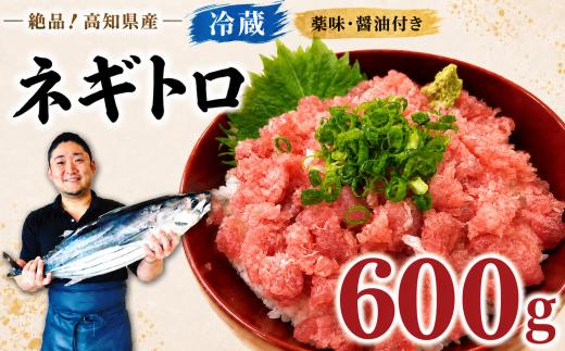 【冷蔵】 マグロ ネギトロ 小分け まぐろたたき 600g 薬味 醤油 セット マグロのたたき 天然まぐろ 厳選 マグロ たたき マグロ丼 鮪 ねぎとろ あっさり ネギトロ丼 ねぎとろ丼 寿司 冷蔵 新鮮 鮪 国産 マグロ 高知県産 マグロ まぐろ 赤身 天然 魚介 魚 海鮮 海鮮丼 おかず 惣菜 お取り寄せ ギフト プレゼント 父の日 高知県 おいしい 簡単 時短 海の幸 生鮮