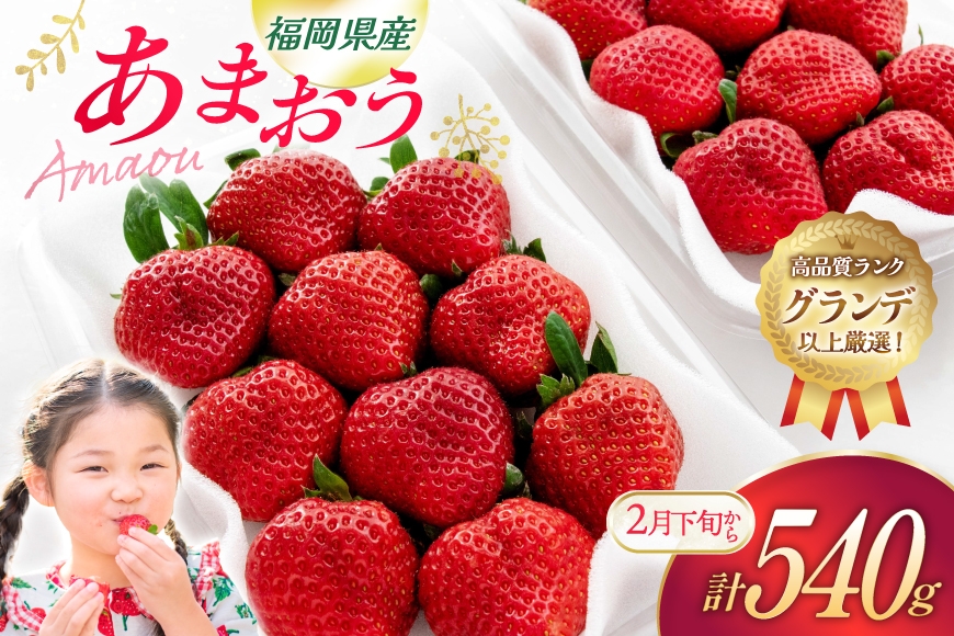 
                  いちご あまおう 270g 2p 計540g【2月後半-3月後半発送】[hurrah. 福岡県 宇美町 um40bjm200003] イチゴ 苺 フルーツ 果物 果実 甘い あまい グランデ
                
