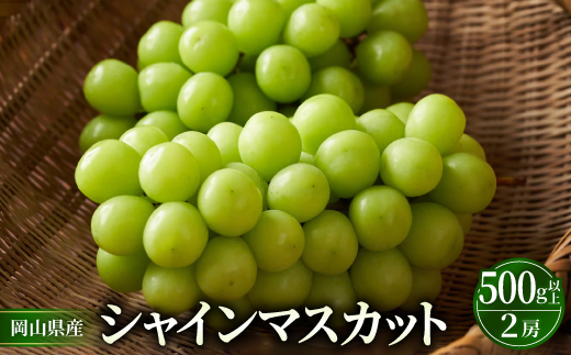 岡山市　一宮産　シャインマスカット　500g以上×2房入り　化粧箱入り【1726294】