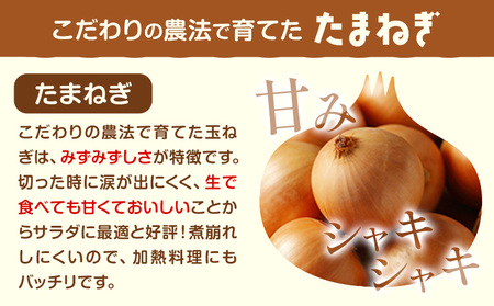 十勝 電子技法栽培たまねぎ 約10kg 《10月上旬から順次出荷》橋枝物産 北海道 浦幌町