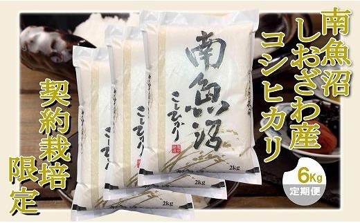 【令和8年産　新米予約】【定期便 精米６Kg×３ヶ月】契約栽培限定 南魚沼しおざわ産コシヒカリ【定期便 銘柄米 ブランド米 精米 こしひかり コシヒカリ 魚沼産 新潟米 産地直送】【2026年10月上旬から1ヶ月以内に順次発送予定】