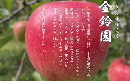 【 北上市産 りんご 】 ＼ 予約受付 10月下旬 発送開始予定 ／シナノゴールド 【 贈答用 】 3キロ セット (約8～12玉) 国産 リンゴ りんご 3kg 果物 フルーツ 産地直送 送料無料 