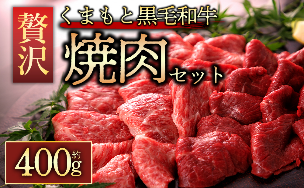 くまもと黒毛和牛焼肉約400g 桜屋 黒毛和牛 和牛 国産 牛肉 霜降り ブランド牛 人気 美味しい 焼肉 希少 ジューシー 熊本 阿蘇