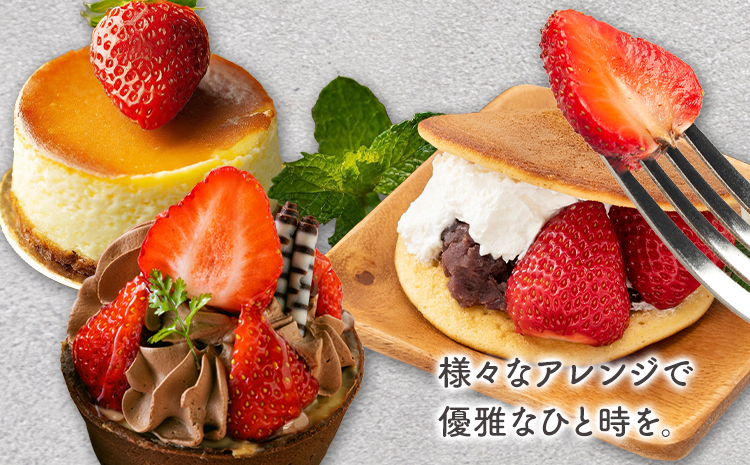 贅沢イチゴ ひのしずく 約45g×12玉 いちご イチゴ 苺《2026年3月発送予定》ヴァリアス株式会社 果物 くだもの フルーツ 希少 ギフト プレゼント 贈り物 国産 九州産 熊本県 菊池市 送料