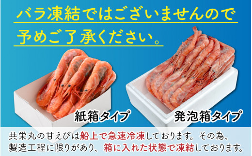 【年3回お届け】 漁船直送！船内瞬間冷凍 甘えび 約1.1㎏ × 3回 計3.3㎏ 【海老 えび エビ アマエビ あまえび 甘海老 殻付き 有頭 生食 刺身 冷凍 魚介類 魚貝類 産地直送 坂井市産 福井県産 国産 三国 人気】 [D-2303]