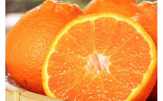 完熟 紀州 デコ (不知火)  3kg 【先行予約】 ※2027年2月下旬頃〜3月中旬頃発送予定 【uot706A】