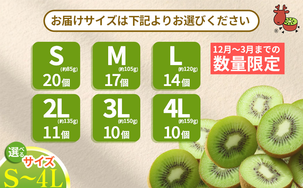 ＜12月以降順次発送＞プレミアム キウイ フルーツ 3L サイズ
