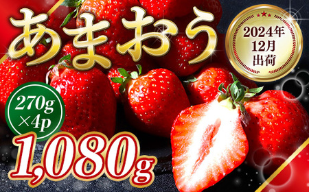 福岡県産 あまおう 1080g 送料無料 いちご 果物 フルーツ ギフト 季節限定 スイーツ ケーキ ブランド 先行予約 2024年12月より順次発送  TY050-2