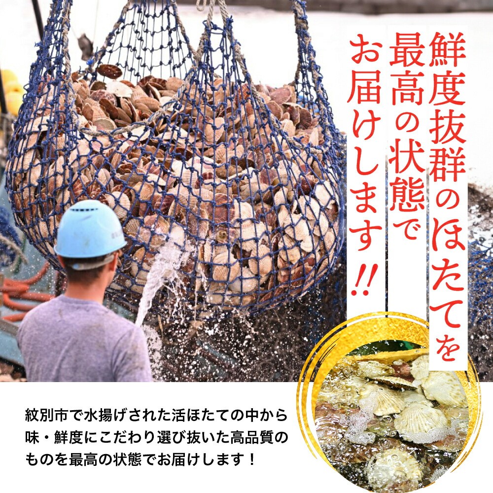 11-145 北海道紋別産 活ホタテ2kg(Lサイズ)