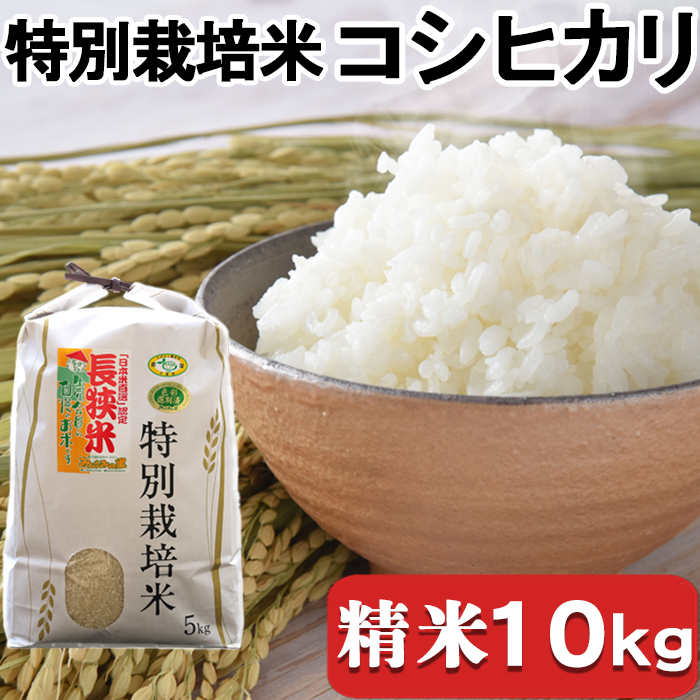 【令和6年産】川名一将さんちの長狭米 特別栽培米コシヒカリ10kg【精米】 [0024-0010]