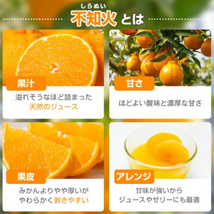 【A18008】＜先行予約受付中！2026年2月より収穫ができ次第順次発送予定＞肝付町産不知火(しらぬい)(計6kg・3kg×2ケース)国産 フルーツ 果物 柑橘 みかん デコポン しらぬい 不和火【