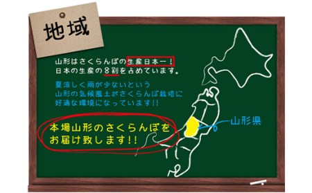 《先行予約 2026年度発送》無加温♪山形さくらんぼ佐藤錦L300g手詰【5月中旬～6月上旬発送】 FSY-0419