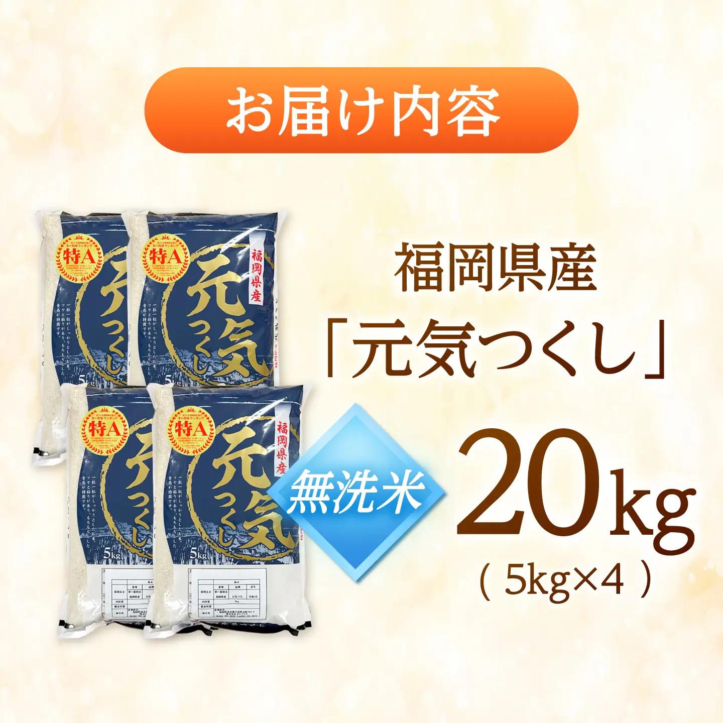 【先行予約】【令和7年産】元気つくし無洗米20kg(5kg×4袋)[BGAA095] 大容量 無洗米 元気つくし 大容量