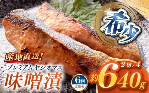 【定期便6回】産地直送栃木県のブランド魚「プレミアムヤシオマス」の味噌漬 2切入×4パック  [ 冷凍便 ] | 魚 ます 養殖 産地直送 栃木県 (毎月お届け）