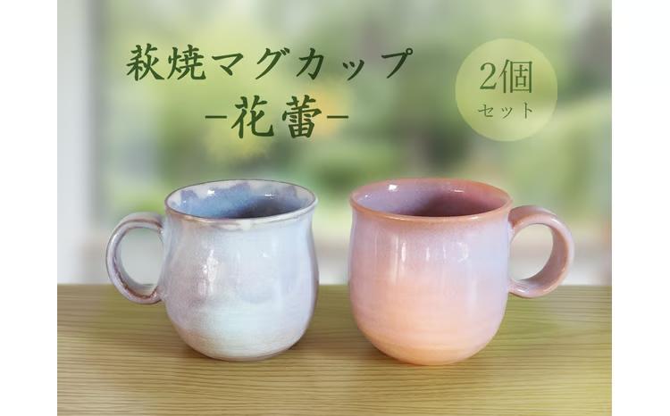 D691 萩焼マグカップセット-花蕾-