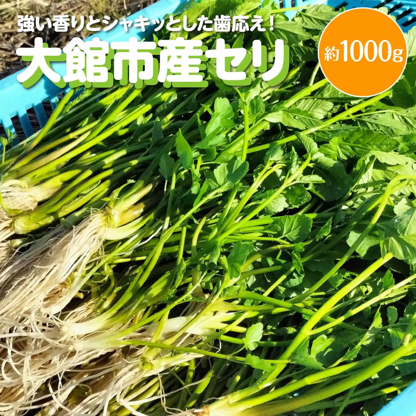 セリ 強い香りとシャキッとした歯応え 約1000g　300P3201