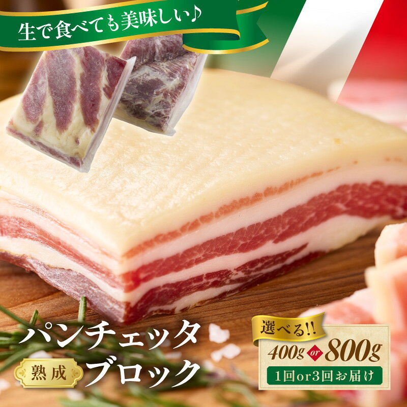 【ふるさと納税】パンチェッタブロック（豚バラ肉の塩漬け）　約200g×2袋