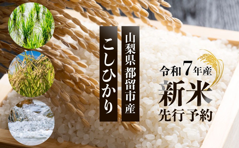 【令和７年産新米・予約】山梨県都留市産こしひかり 選べる容量[5kg・10kg] FB038.FB039
