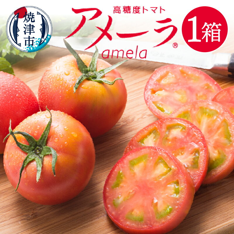 【ふるさと納税】 トマト 野菜 焼津 アメーラトマト 高糖度 産地 直送 化粧箱入 a10-371