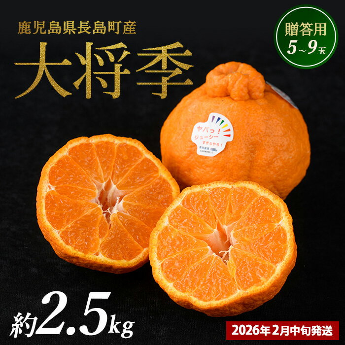 【ふるさと納税】【 2月中旬発送】長島町産 大将季（ハウス） 贈答用(約2.5kg) 【長島柑橘直販合同会社】kanchoku-7160