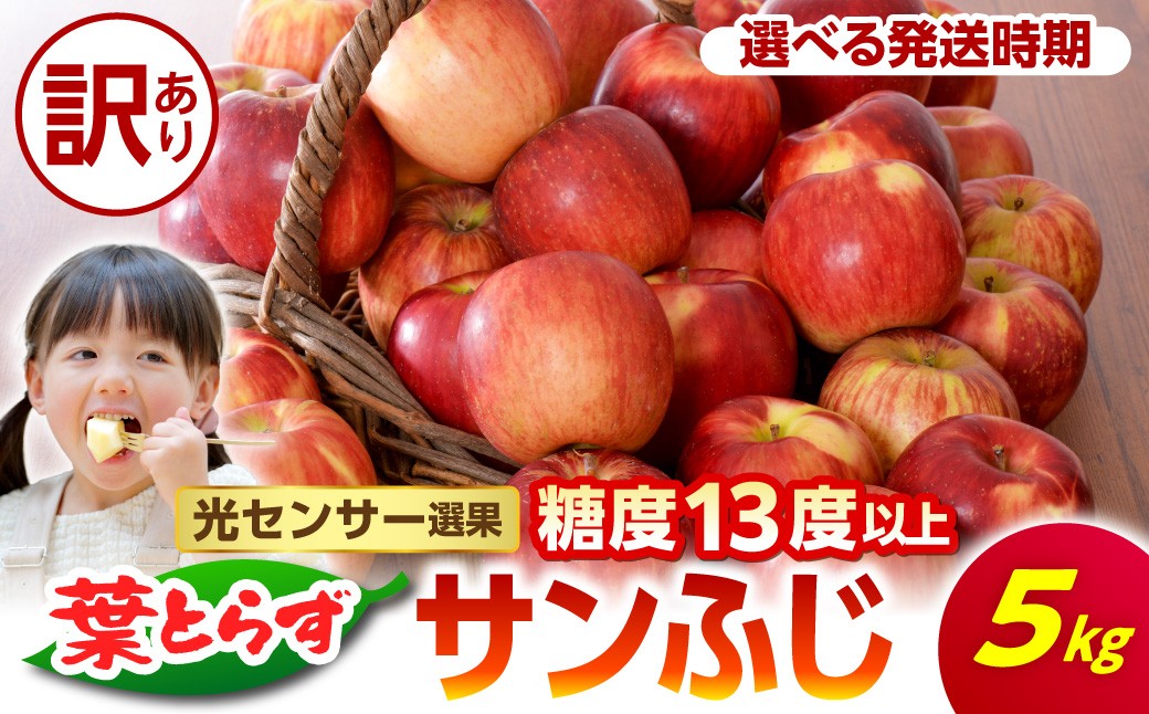 
                  【先行受付】【選べる配送時期】【訳あり】 葉とらず サンふじ りんご 約 5kg 光センサー選果〈 糖度 13度 以上〉  【 11月 12月 1月 2月 配送  】 青森 五所川原 青森りんご 家庭用 葉とらずりんご サンふじりんご
                