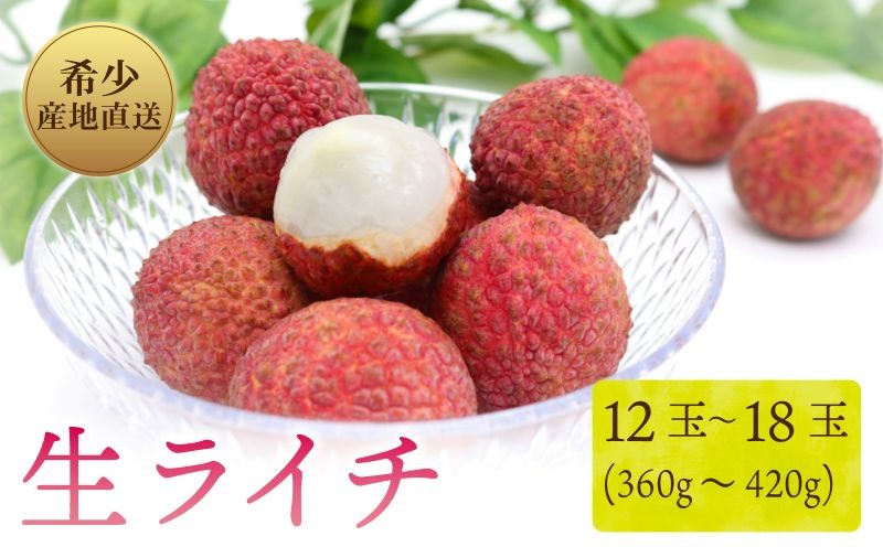 
            【令和8年6月上旬より発送】 先行予約 生ライチ 国産 室戸海洋深層水使用 ライチ 果物 くだもの 季節限定 期間限定 数量限定 旬 限定 国産 贈答 ギフト 贈り物 プレゼント 高知県 室戸市
          