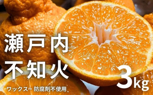 瀬戸内の不知火 3kg(10～12個程度) 【2027/2月～4月発送 先行予約 】 ワックス 防腐剤不使用 国産 柑橘