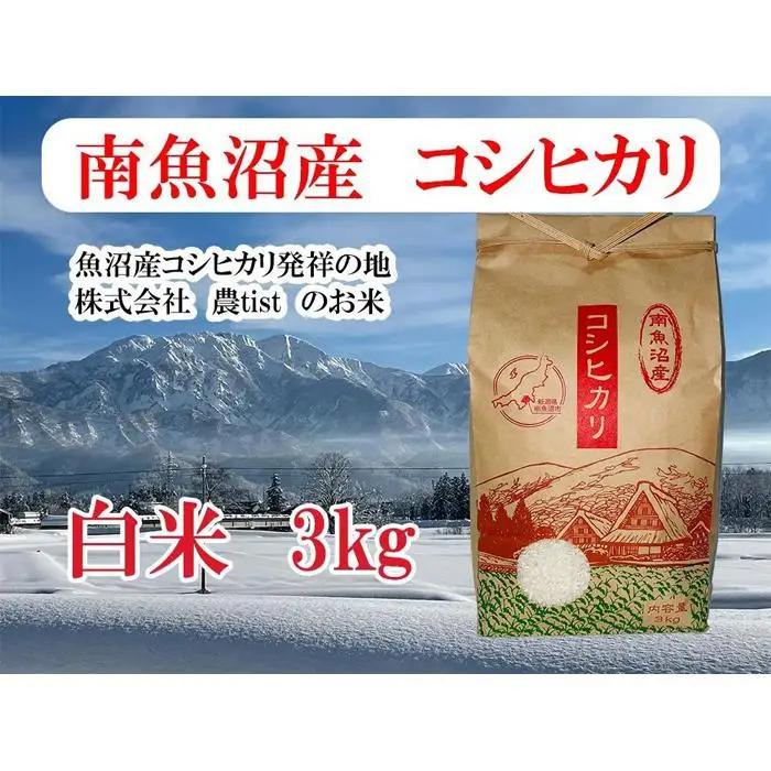 【令和8年 新米】【南魚沼産】コシヒカリ 白米3kg｜コシヒカリ