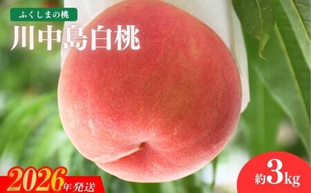 No.2207 もも「川中島白桃」約3kg【2026年発送】