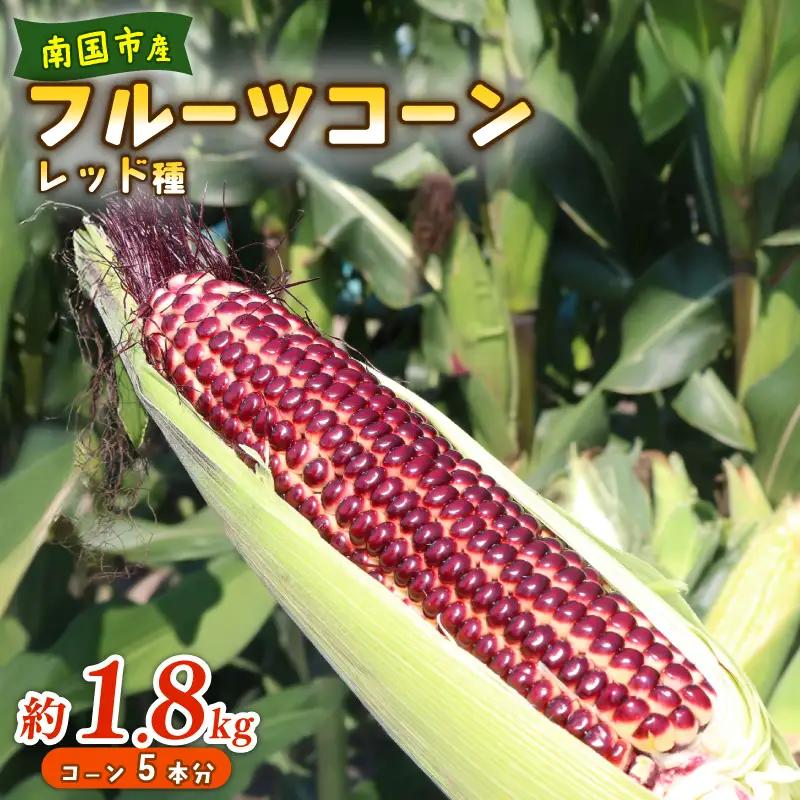 【2026年先行予約 / 数量限定 とうもろこし】フルーツコーン レッド種 5本 とうもろこし