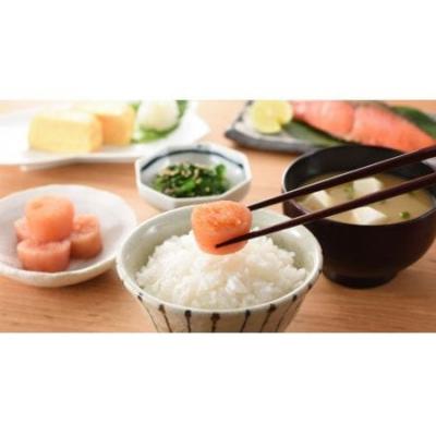 ふるさと納税 宗像市 無着色辛子明太子 家庭用 500g【玄海】_HA0933 |  | 02