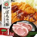 【ふるさと納税】ブランド豚「ばんぶぅ」小分け ロース とんかつ用 選べる 1kg 2kg 4kg 冷凍便 1キロ たっぷり 豚肉 豚ロース トンカツ ロースかつ ロースカツ 豚カツ ぶた肉 ブタ肉 国産 茨城県産 ギフト プレゼント お祝い ご褒美 必勝祈願 合格祈願